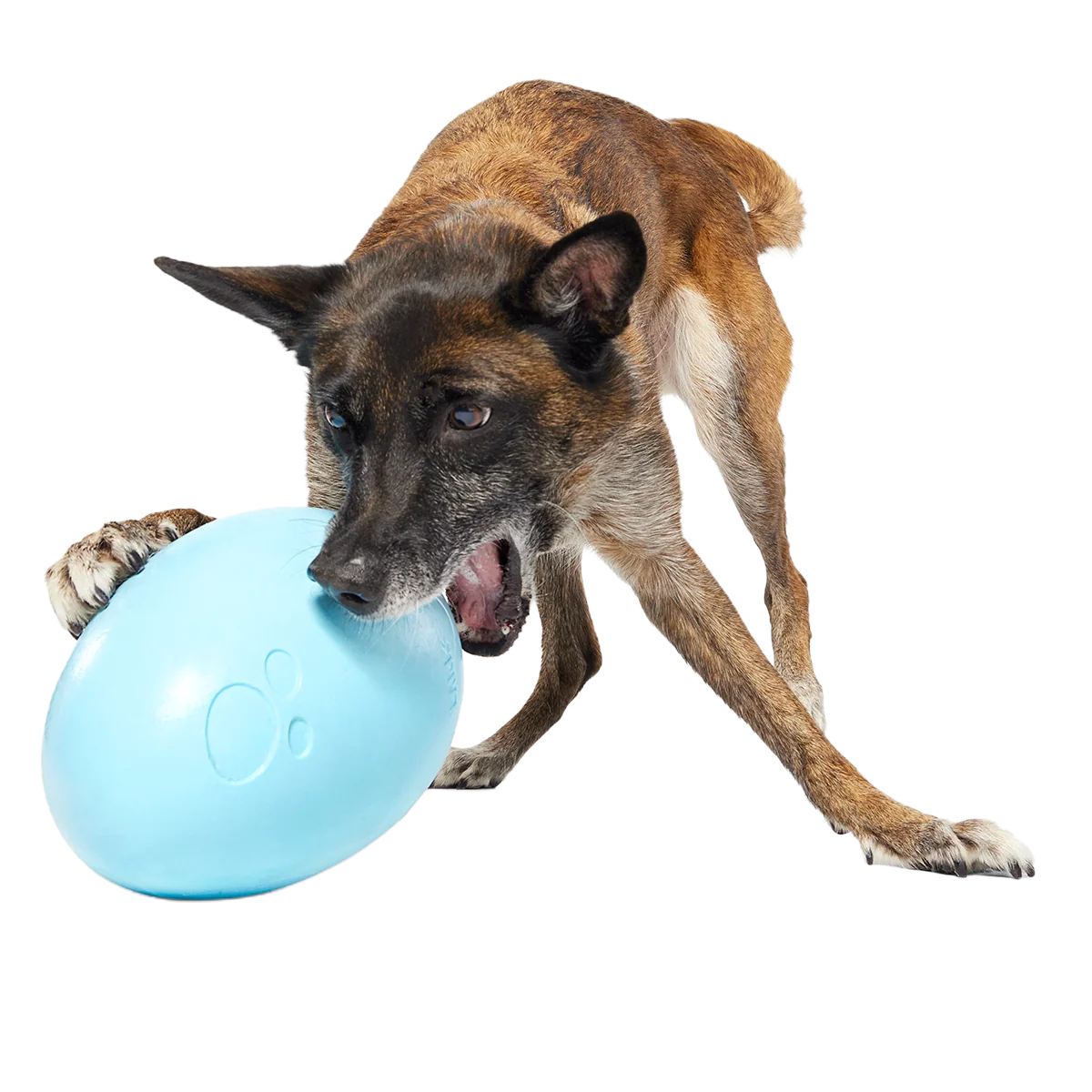 Eggstra Large Easter Egg Super Chewer Durable Extra-Large + Fetch Dog Toy - Image 5