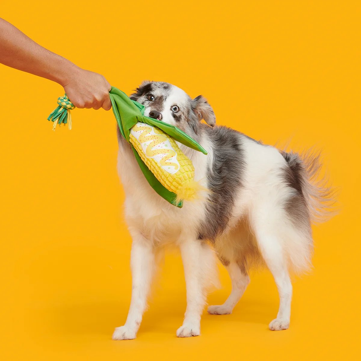 Elote Fun Corn Plush Tug Dog Toy - Image 5