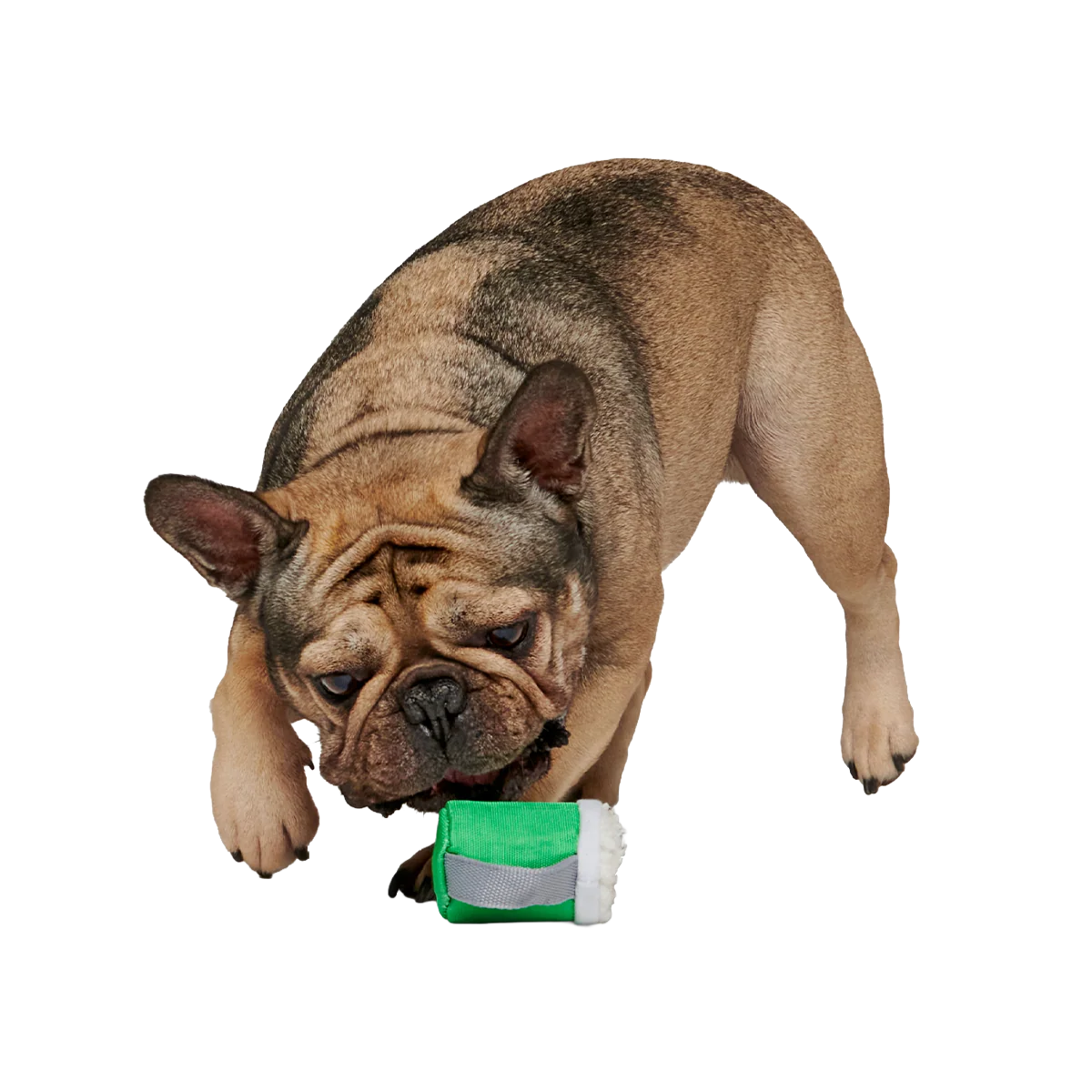 Erin Go Brew Super Chewer Durable 2-in-1 + Tug Dog Toy - Image 3