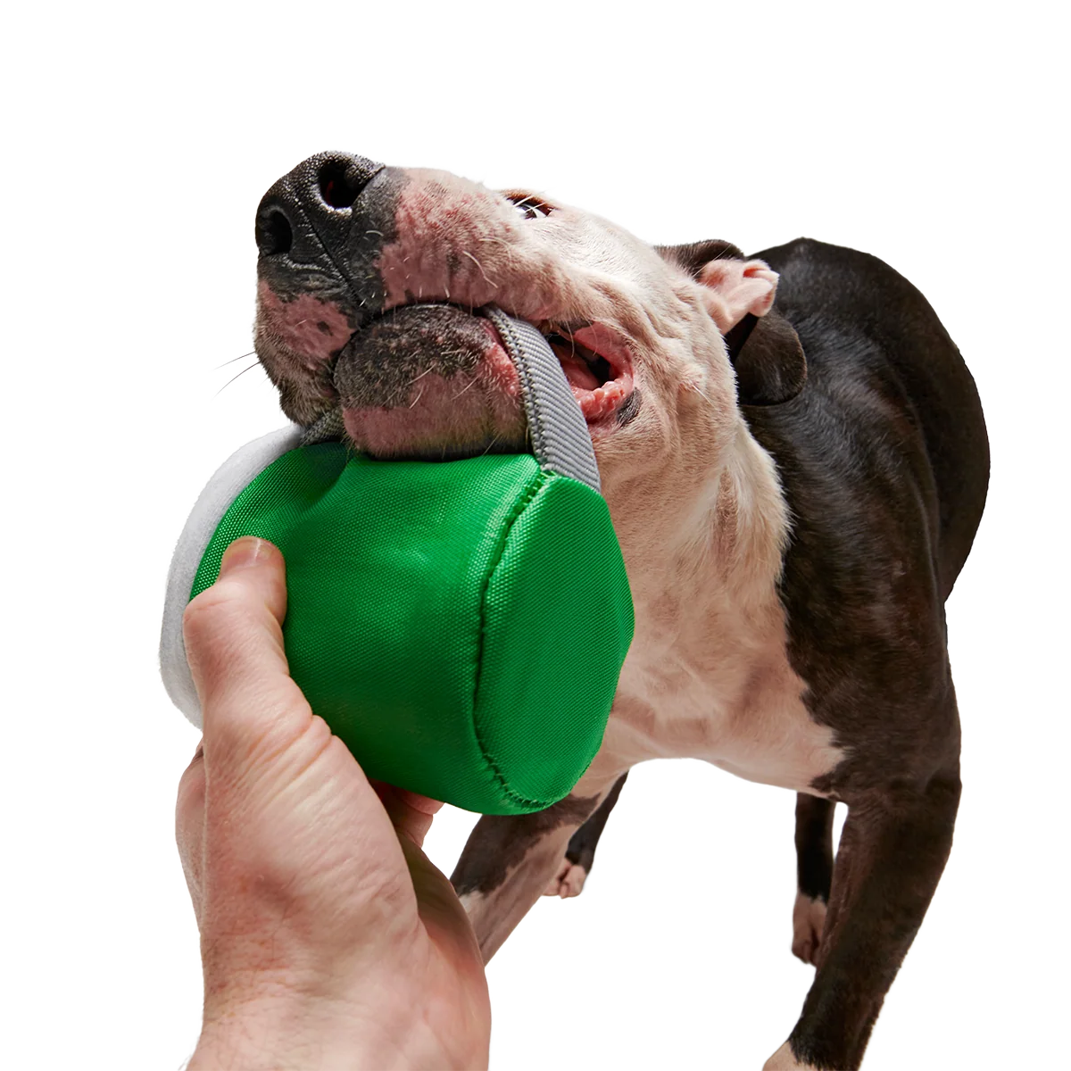 Erin Go Brew Super Chewer Durable 2-in-1 + Tug Dog Toy - Image 4