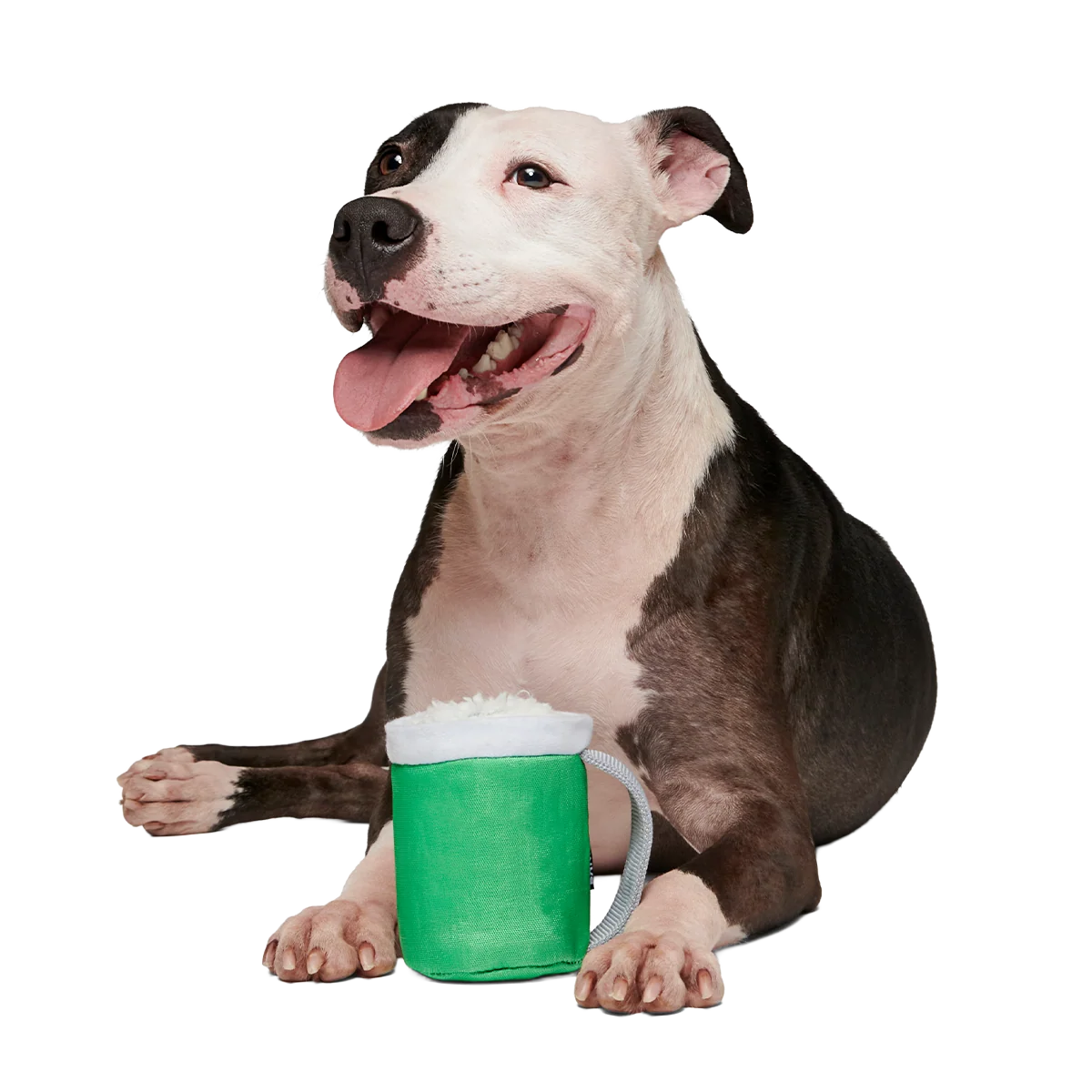 Erin Go Brew Super Chewer Durable 2-in-1 + Tug Dog Toy - Image 5