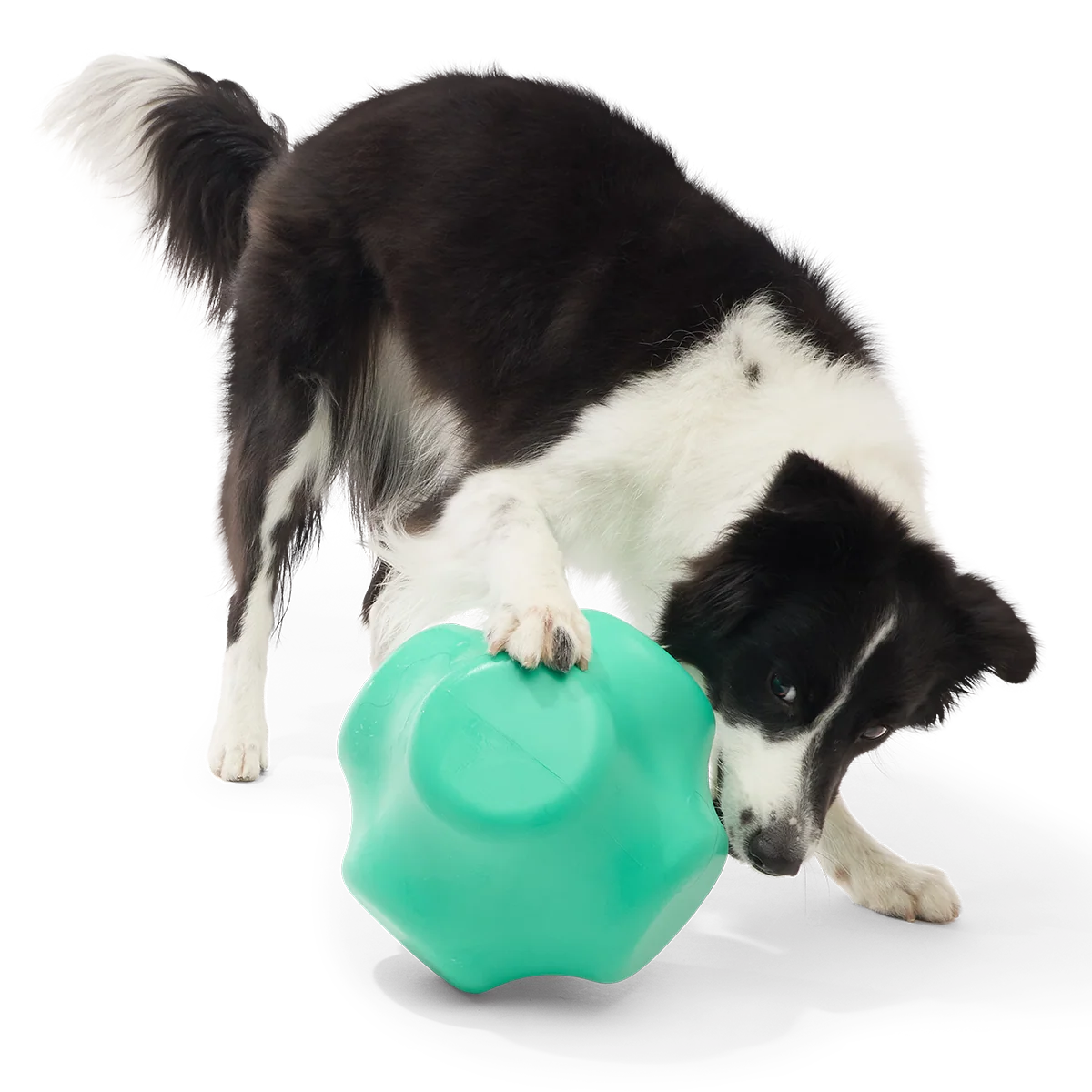 Evergreen Bolder Super Chewer Durable Gnaw Dog Toy - Image 3