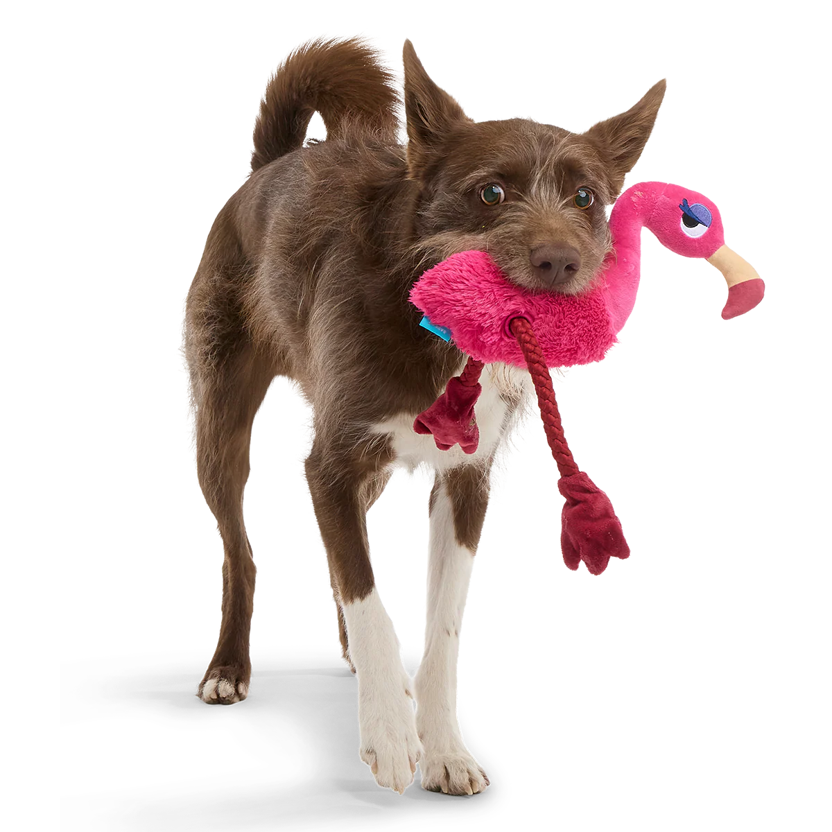 Fahari Flamingo Plush Extra-Large + Tug Dog Toy