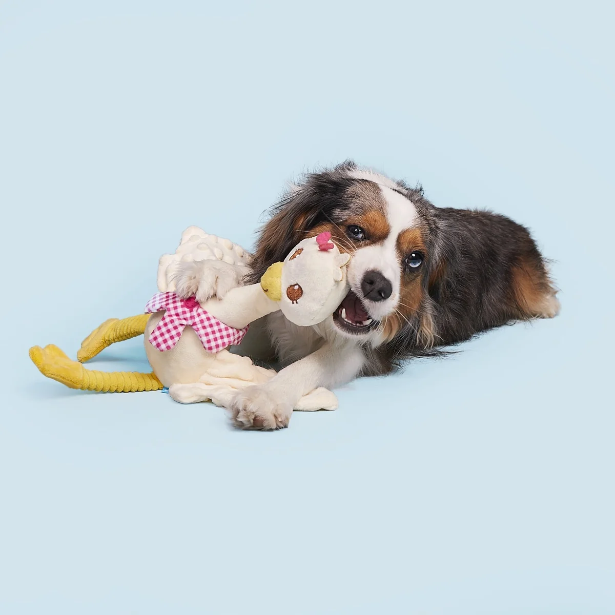 Gingham Goose Plush Extra-Large + Tug Dog Toy - Image 5