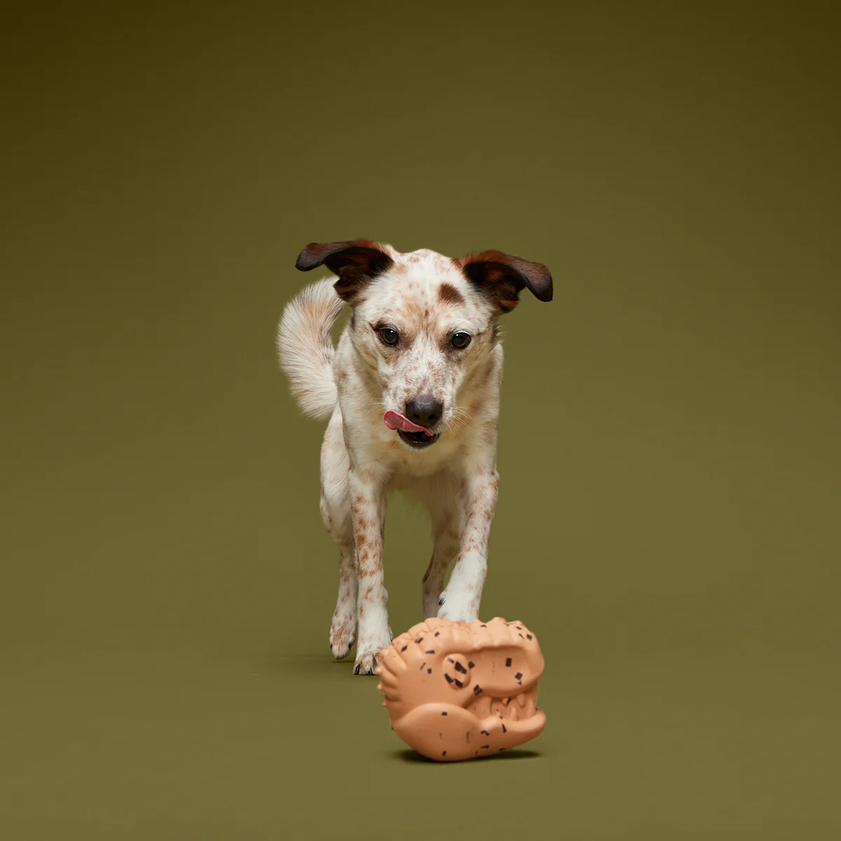 Feeding Time Super Chewer Durable Enrichment Dog Toy - Image 2