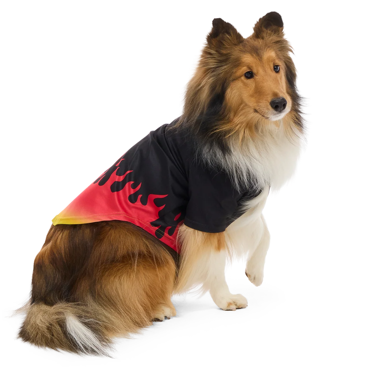 Flame Broiled Button-Down Dog Shirt - Image 8