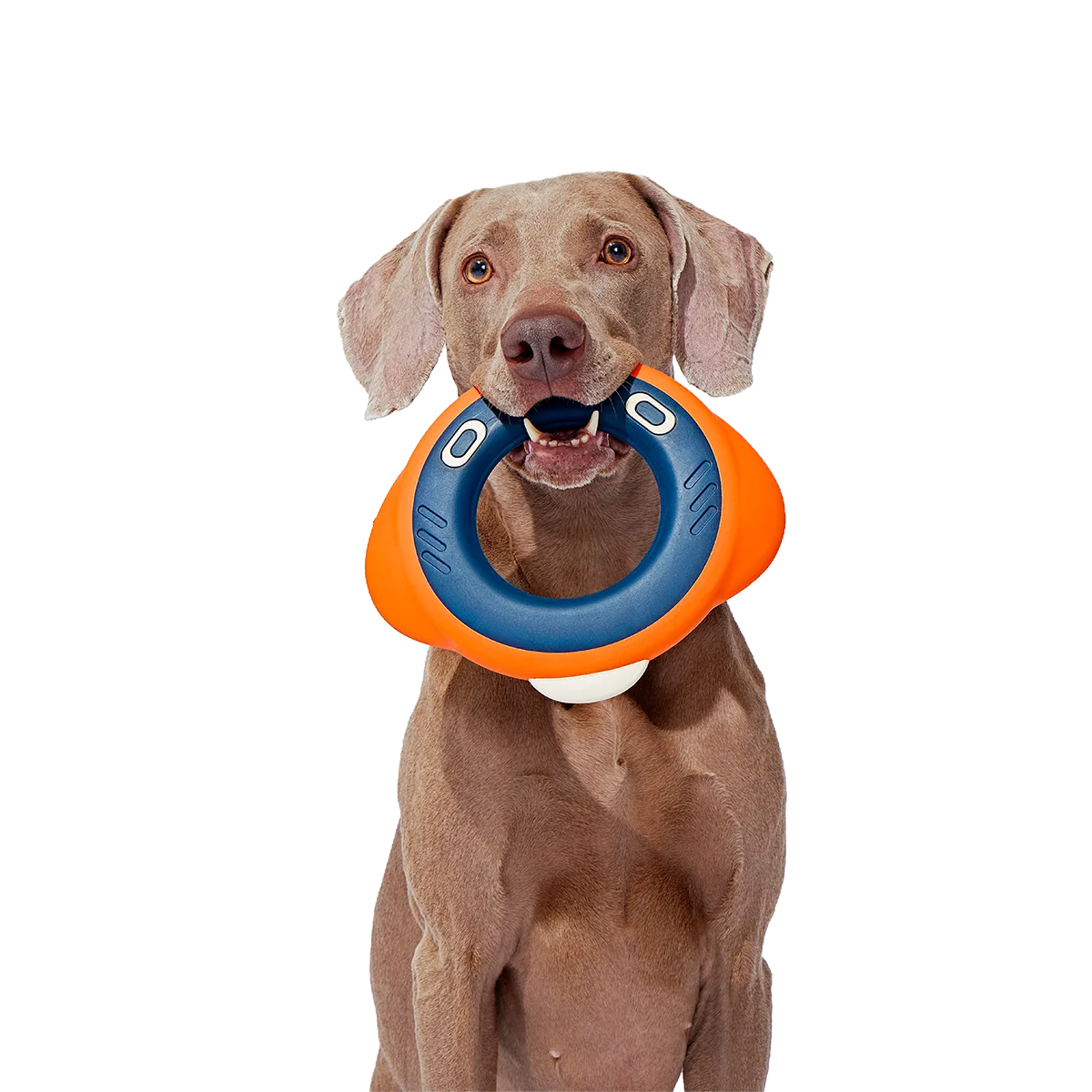 Flingray Super Chewer Durable Fetch Dog Toy - Image 2