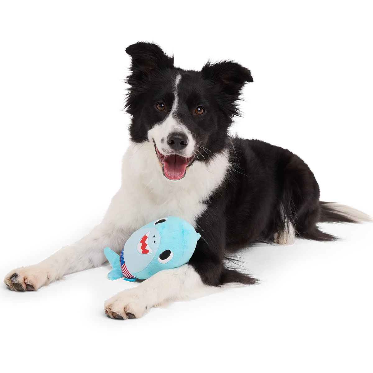 Fourth Of Jawly Jake Plush Dog Toy - Image 4
