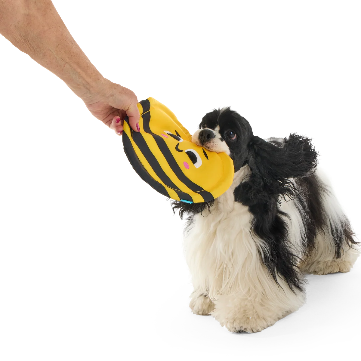 Fritz Bee Plush Fetch Dog Toy - Image 6