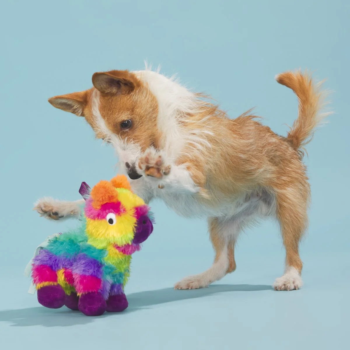 Full o' Fluff Pinata Plush Tug Dog Toy - Image 4