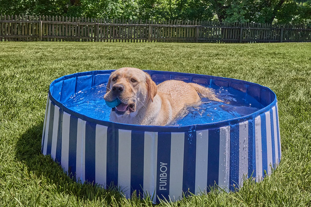 FUNBOY Water Toy - Image 4