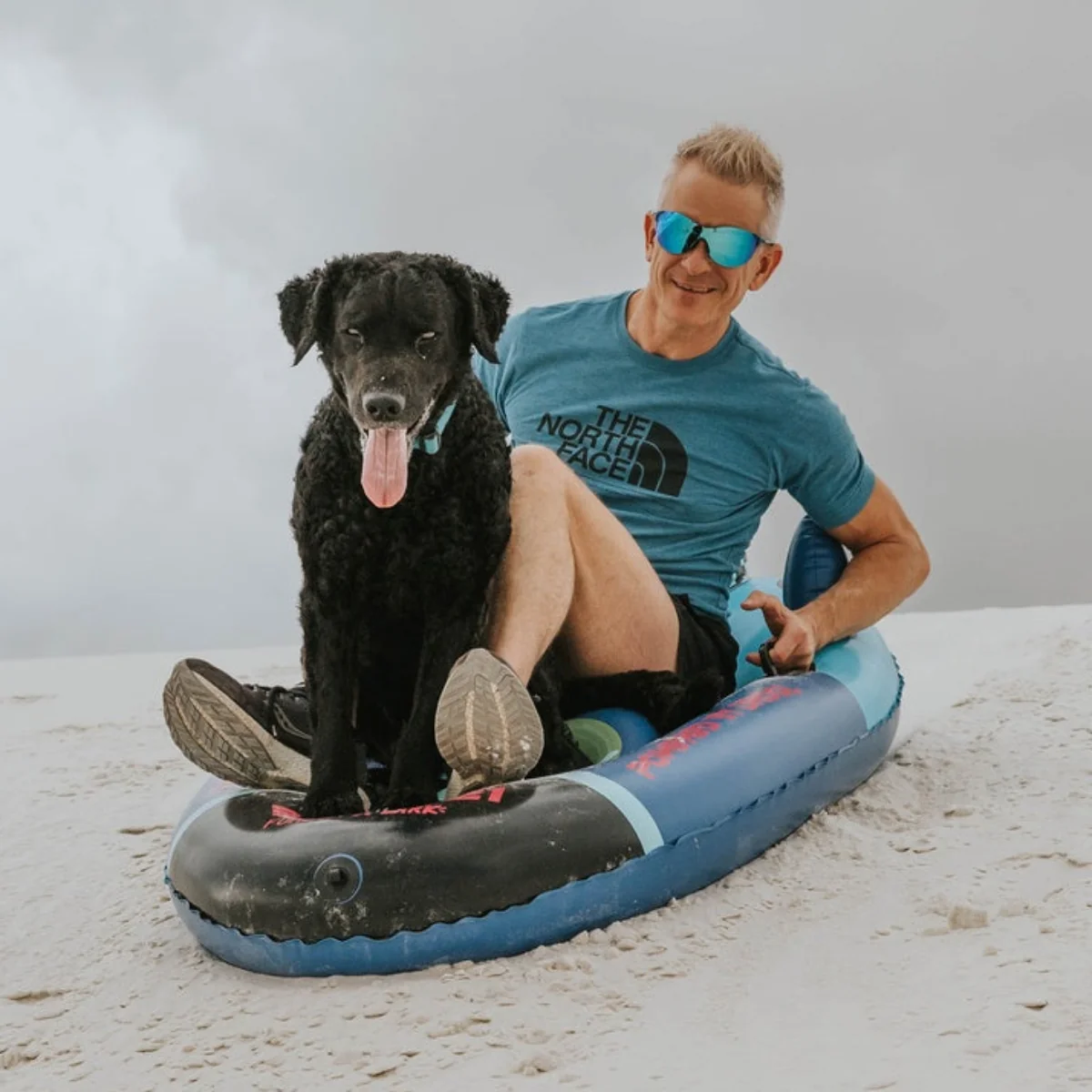 FUNBOY x BARK Dog Sled - Image 7