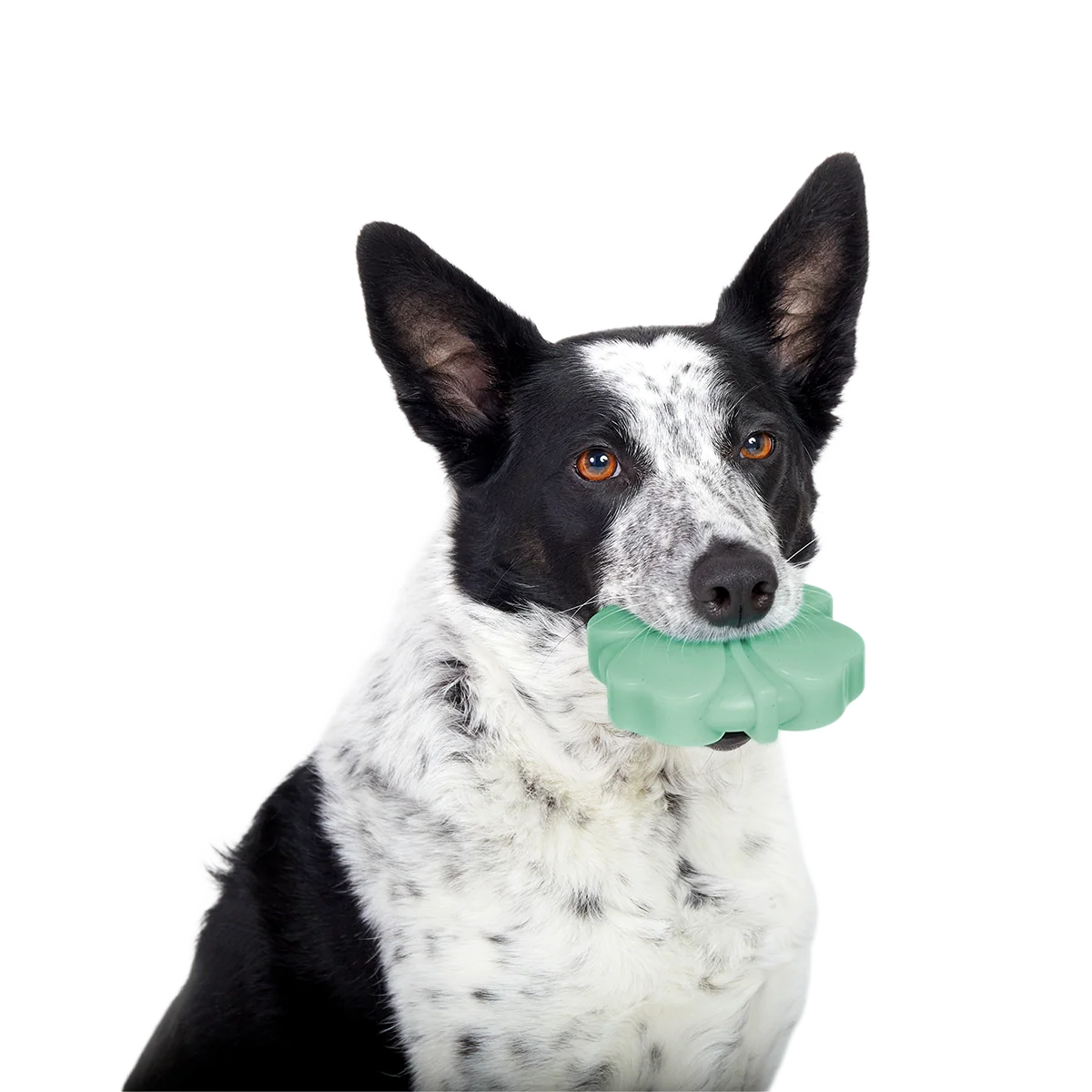 Fur Leaf Clover Super Chewer Durable Gnaw Dog Toy - Image 2