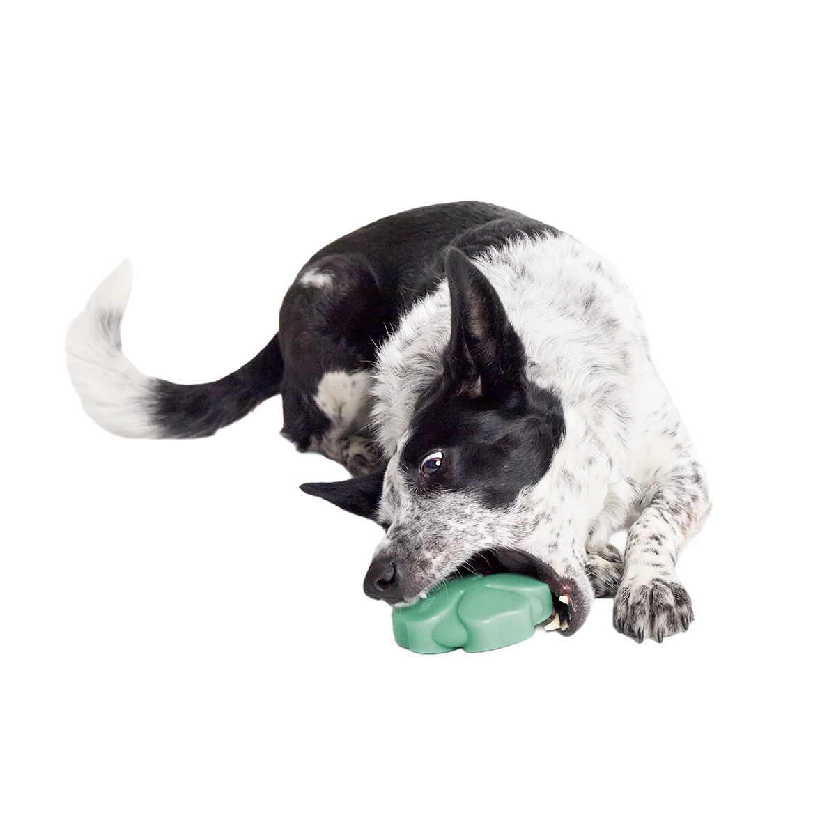 Fur Leaf Clover Super Chewer Durable Gnaw Dog Toy - Image 3