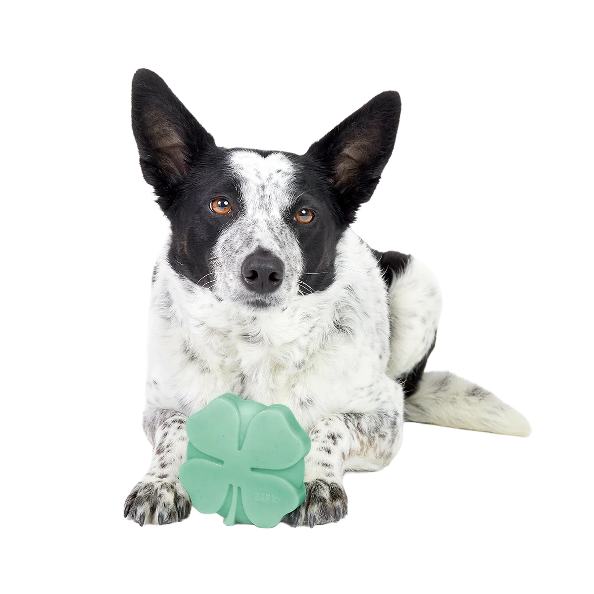 Fur Leaf Clover Super Chewer Durable Gnaw Dog Toy - Image 5