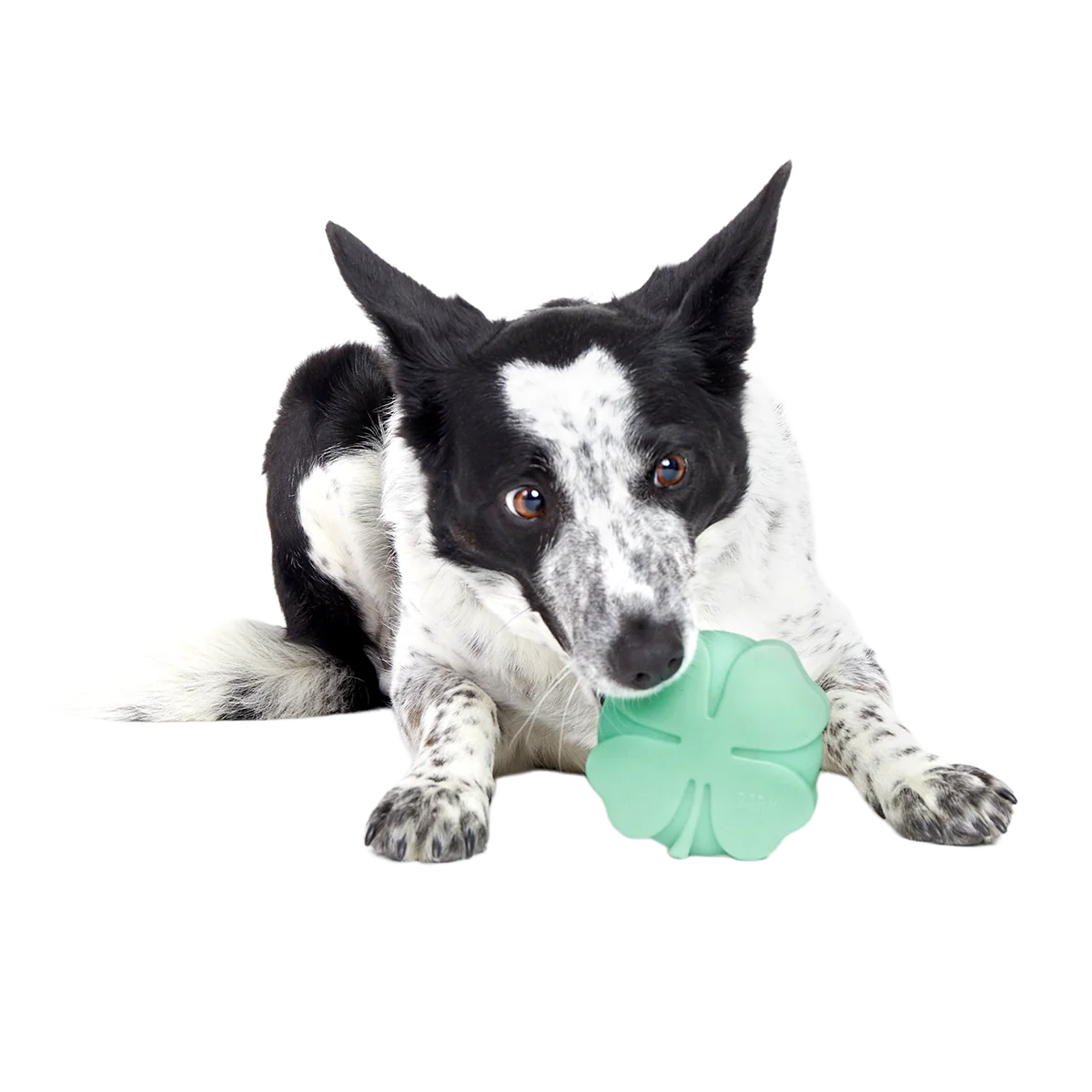 Fur Leaf Clover Super Chewer Durable Gnaw Dog Toy - Image 6