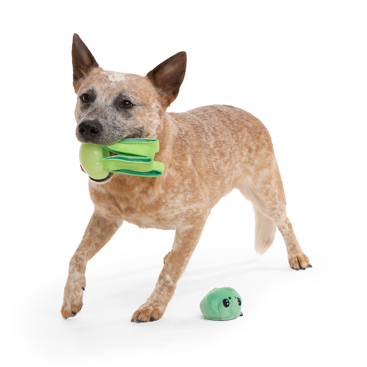 Galactopus Super Chewer Durable 2-in-1 + Tug Dog Toy - Image 3