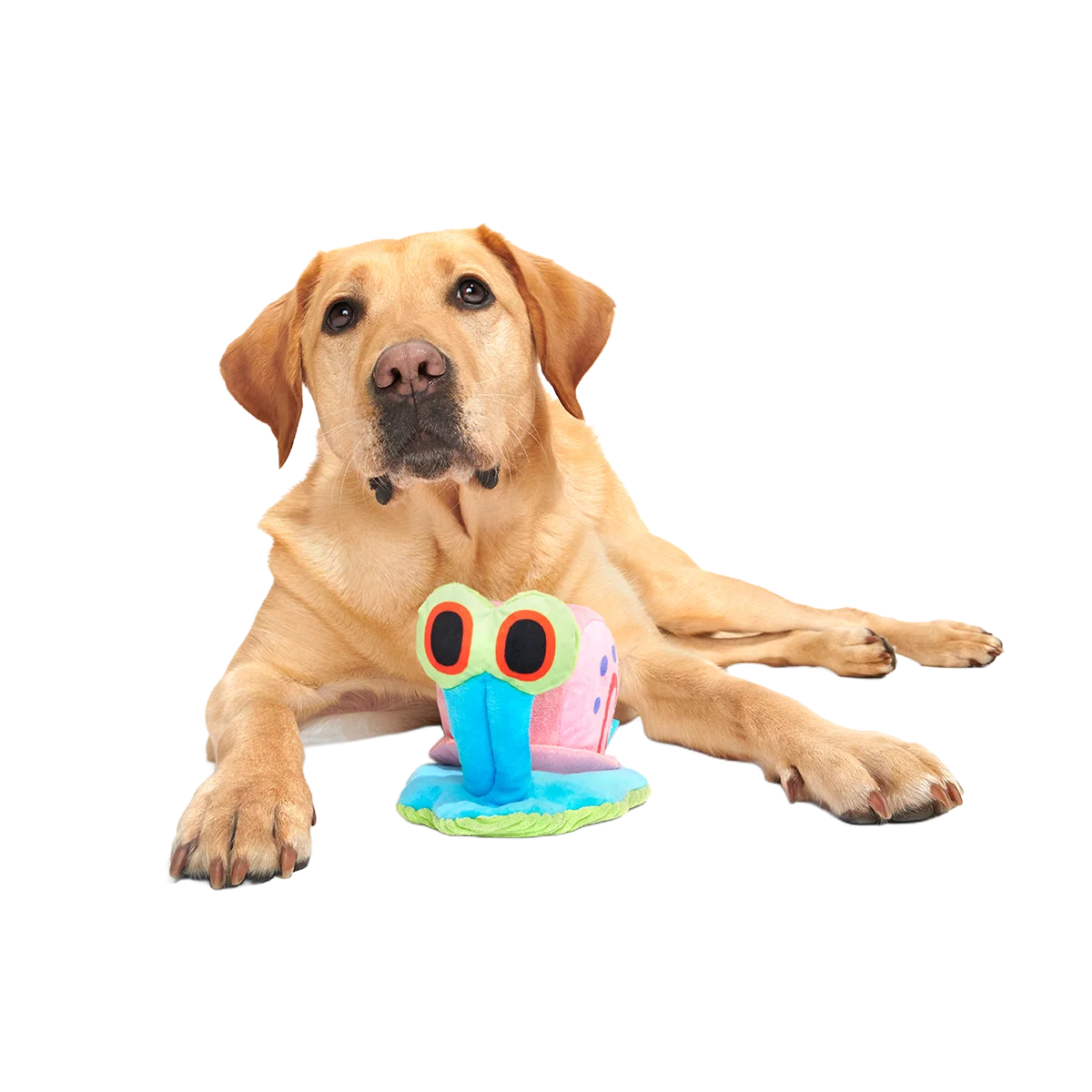 Gary the Snail Plush Tug Dog Toy - Image 2