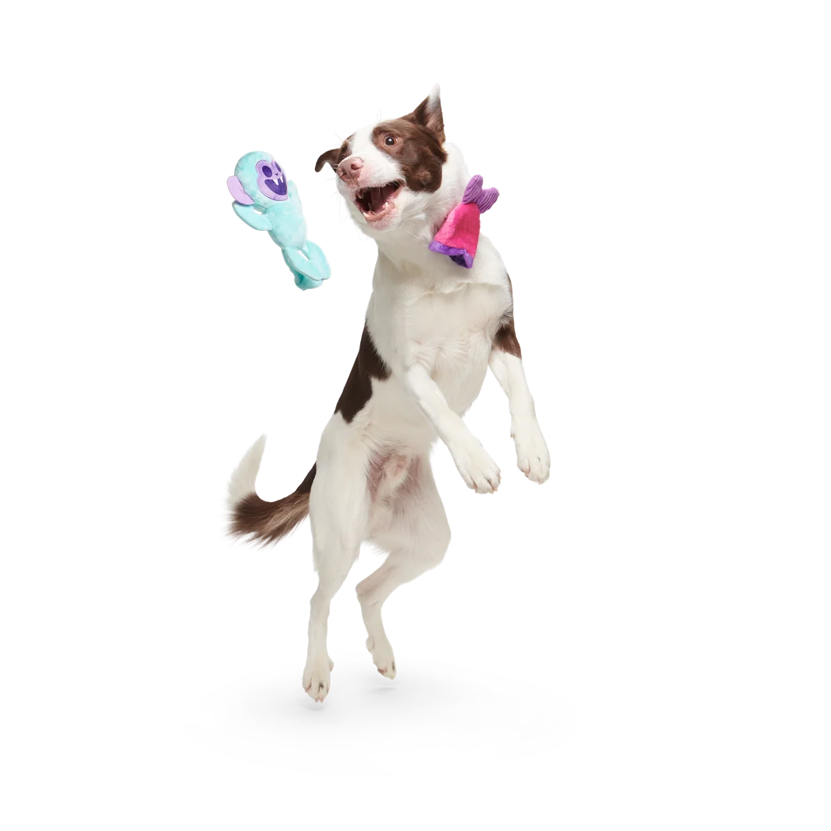 Gigi the Fiji Mermaid Plush Multi-Part + Enrichment Dog Toy - Image 3