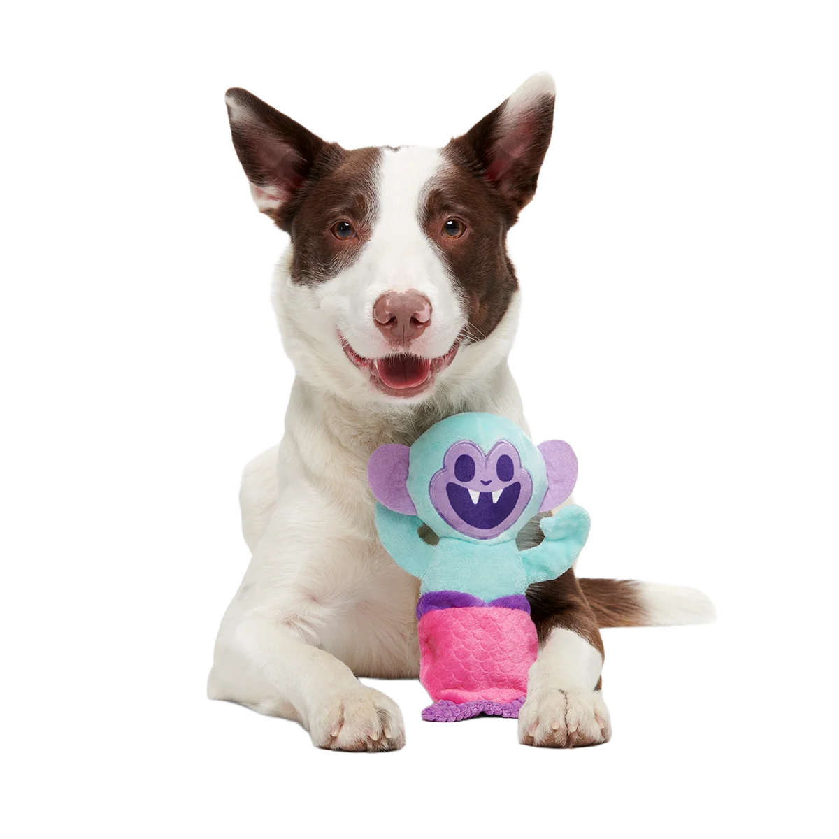 Gigi the Fiji Mermaid Plush Multi-Part + Enrichment Dog Toy - Image 4