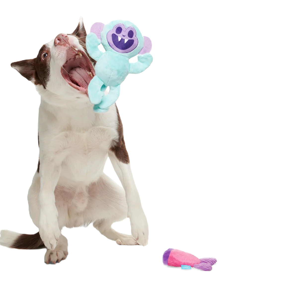 Gigi the Fiji Mermaid Plush Multi-Part + Enrichment Dog Toy - Image 5