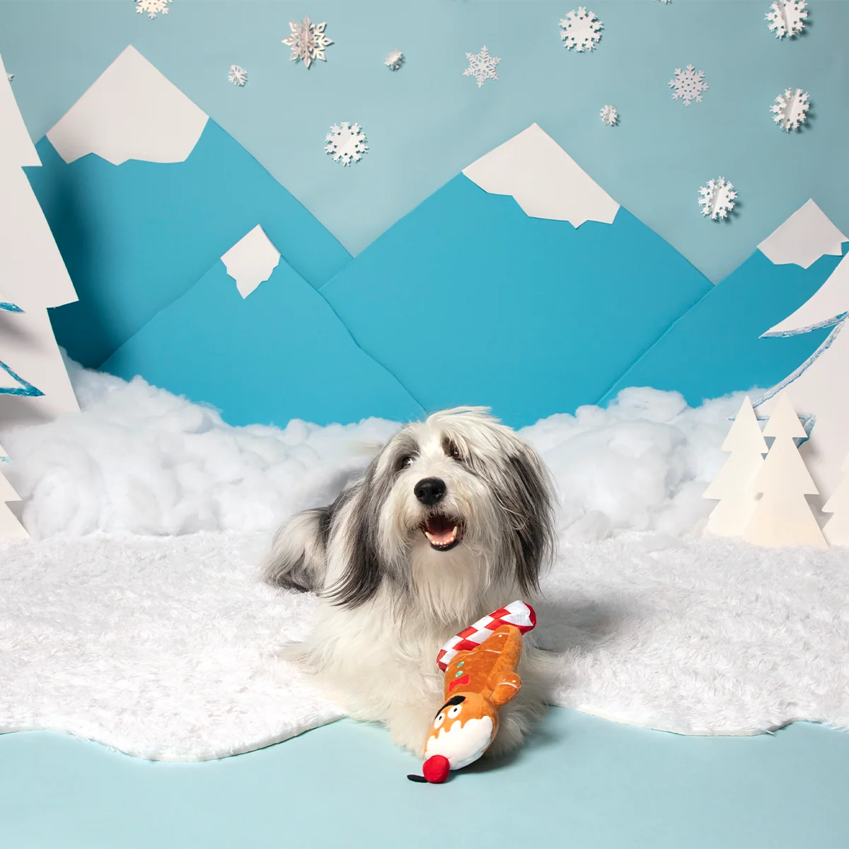 Gingershred Man Plush Tug Dog Toy - Image 3