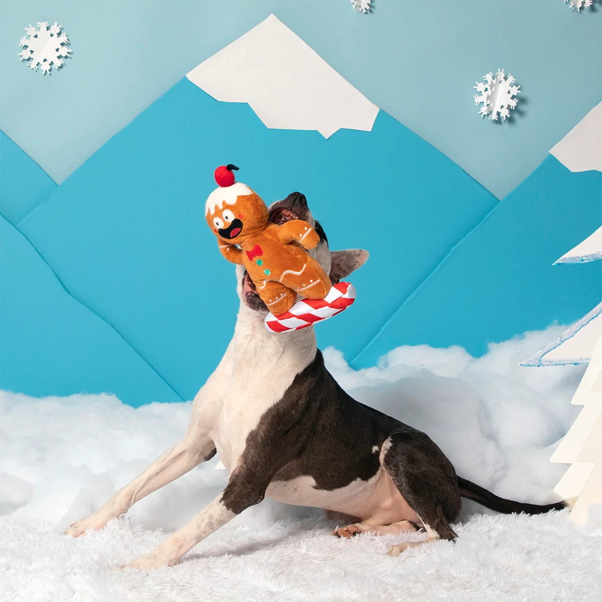 Gingershred Man Plush Tug Dog Toy - Image 4