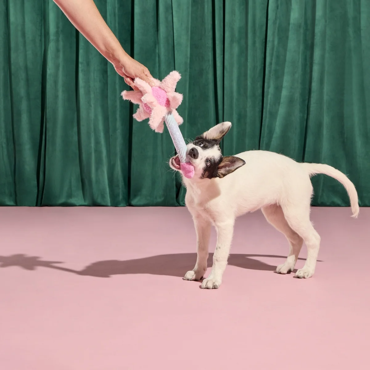 Glinda's Good Wand Plush Tug Dog Toy - Image 6