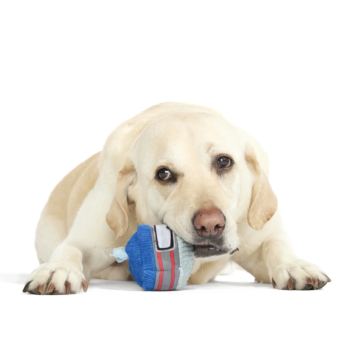 Gnar Ball Durable Super Chewer 2-in-1 Rip and Reveal Dog Toy - Image 2