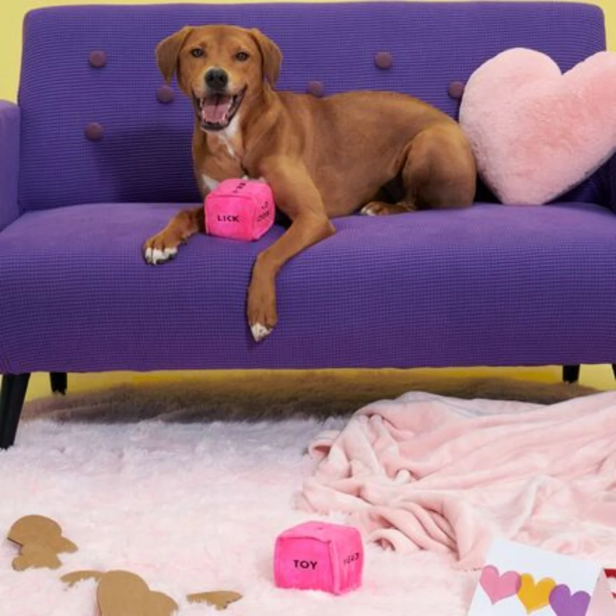 Gnawty Dog Dice Plush Multi-Part Dog Toy - Image 5