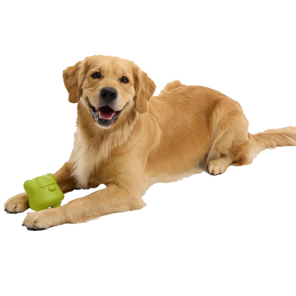 Goblin Booty Super Chewer Durable Gnaw Dog Toy - Image 2