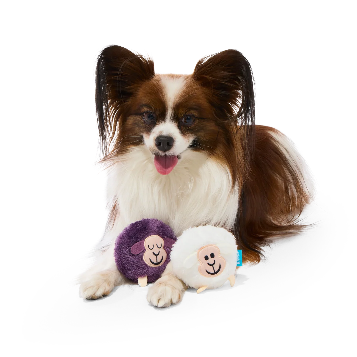 Good Sheep, Baa Sheep Plush Multi-Part + Fetch Dog Toy - Image 3
