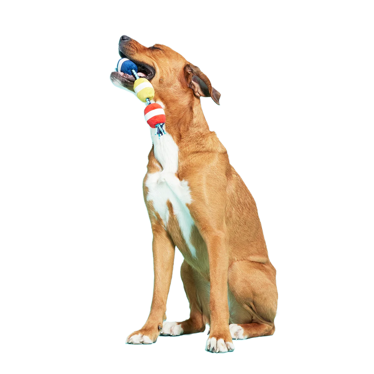 Good Buoys Plush Tug Dog Toy - Image 4