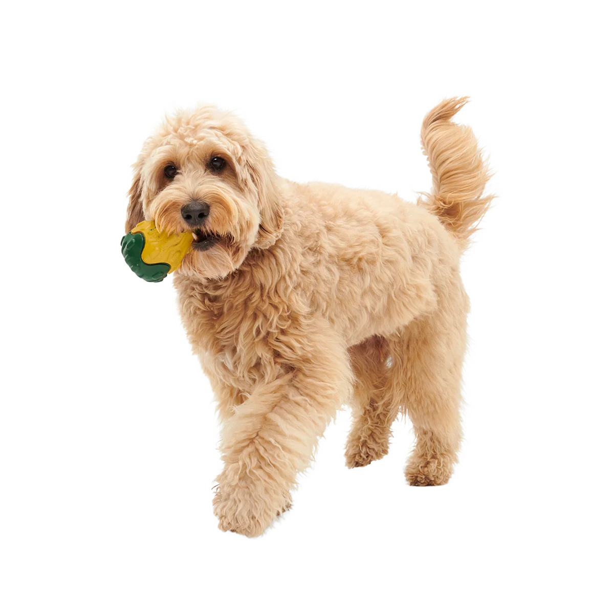 Good Gourd Gnaw Mighty Super Chewer Durable Dog Toy - Image 4