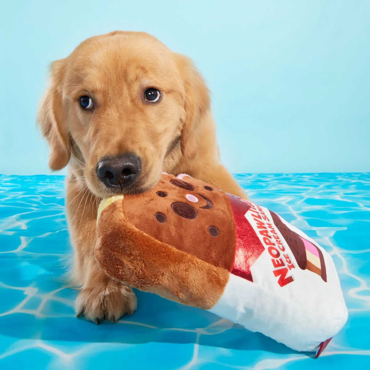 Grand Slam Ice Cream Sam Plush Extra-Large Dog Toy - Image 4