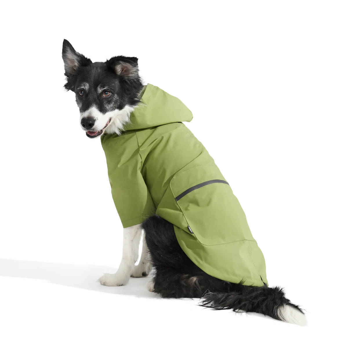 The Dry Dog Raincoat - Image 12