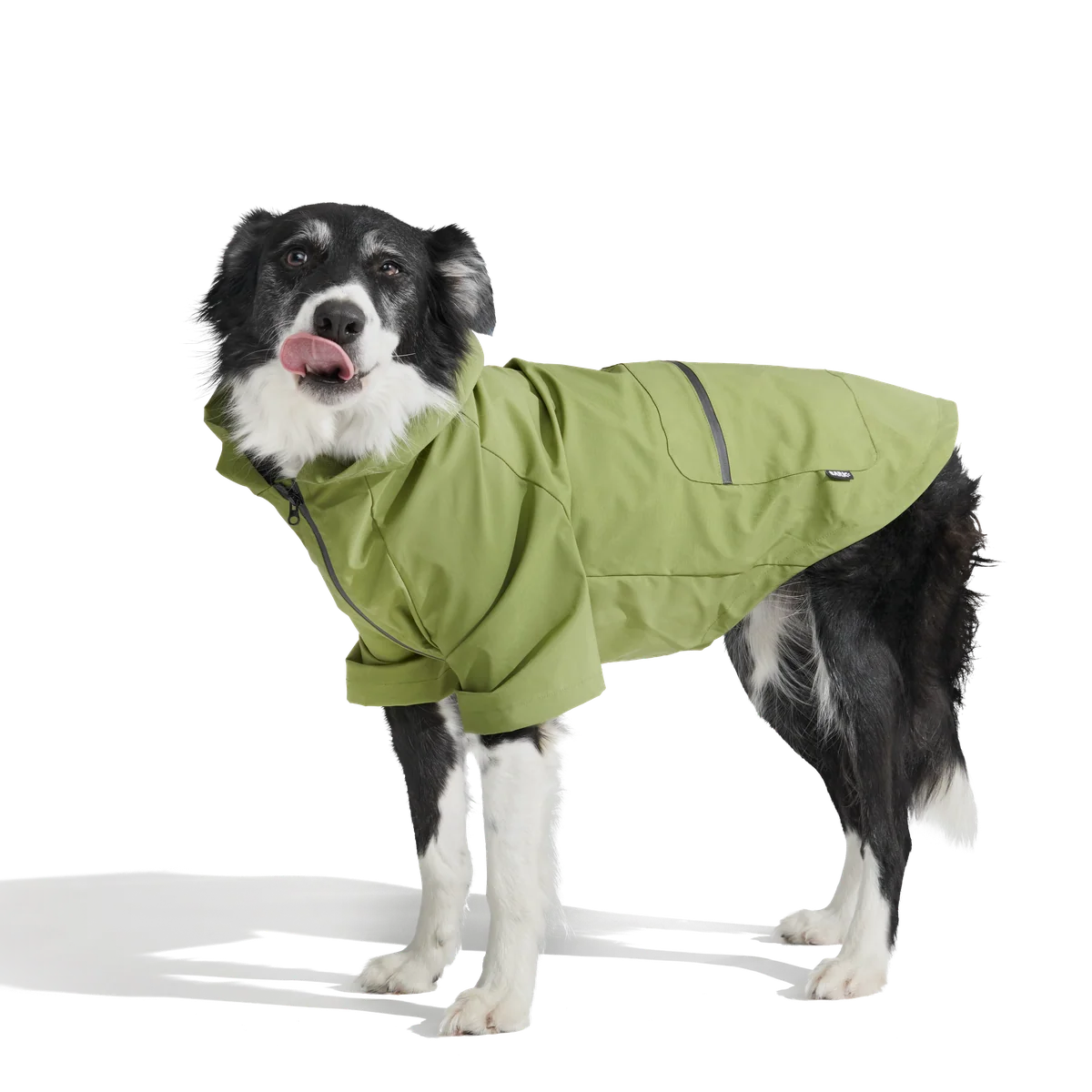 The Dry Dog Raincoat - Image 13