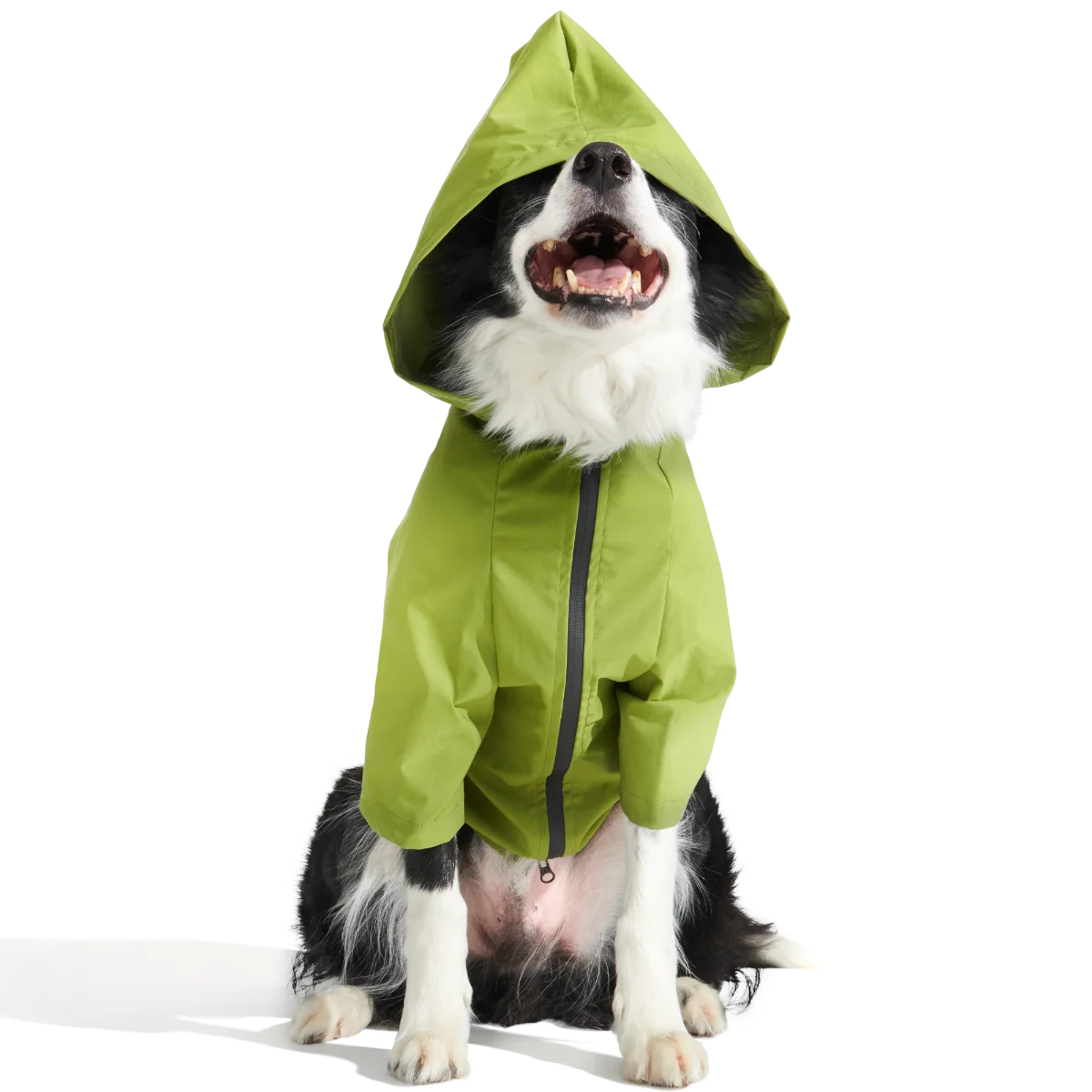 The Dry Dog Raincoat - Image 2