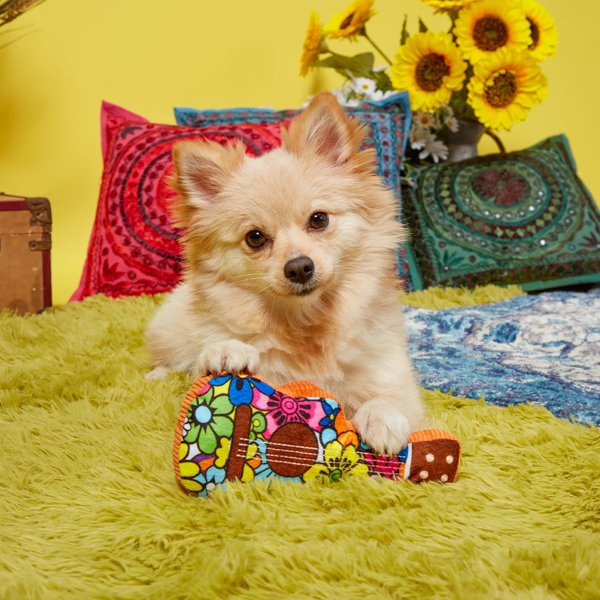 Guitar Licks Plush Tug Dog Toy - Image 4
