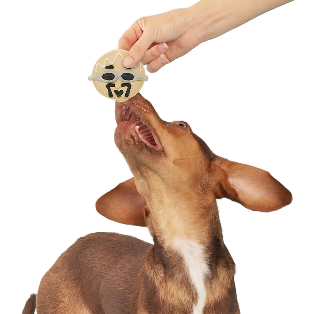 Frosted Tips Barkery Dog Cookie Vegetarian, 1.8 oz - Image 3