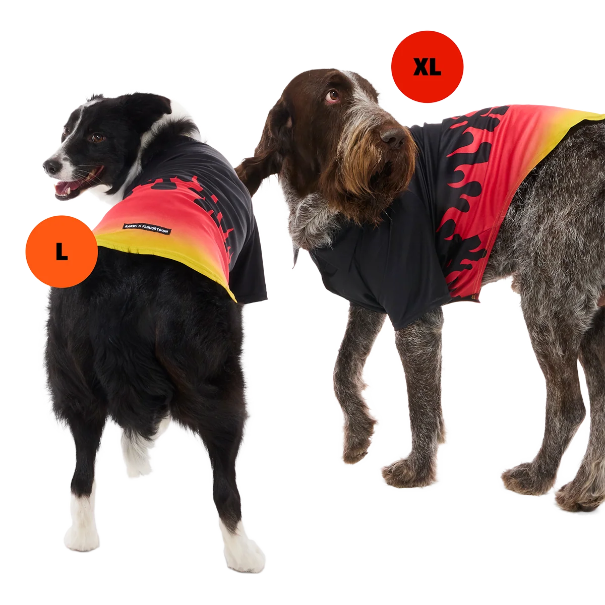 Flavortown™ Wearable Bundle - Image 3