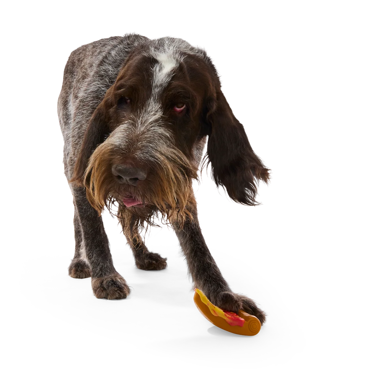 Barkaroni Slice Super Chewer Durable Gnaw Dog Toy - Image 4