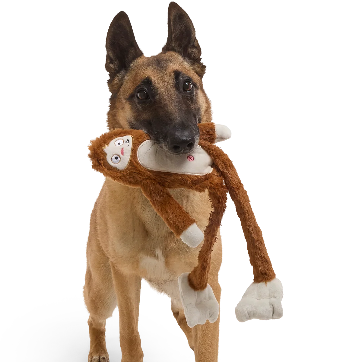 Hairy Henderson Plush Extra-Large + Tug Dog Toy - Image 3