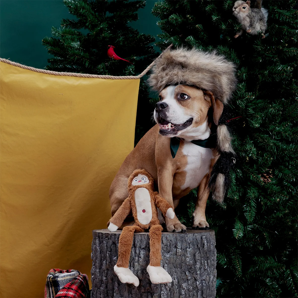 Hairy Henderson Plush Extra-Large + Tug Dog Toy - Image 6