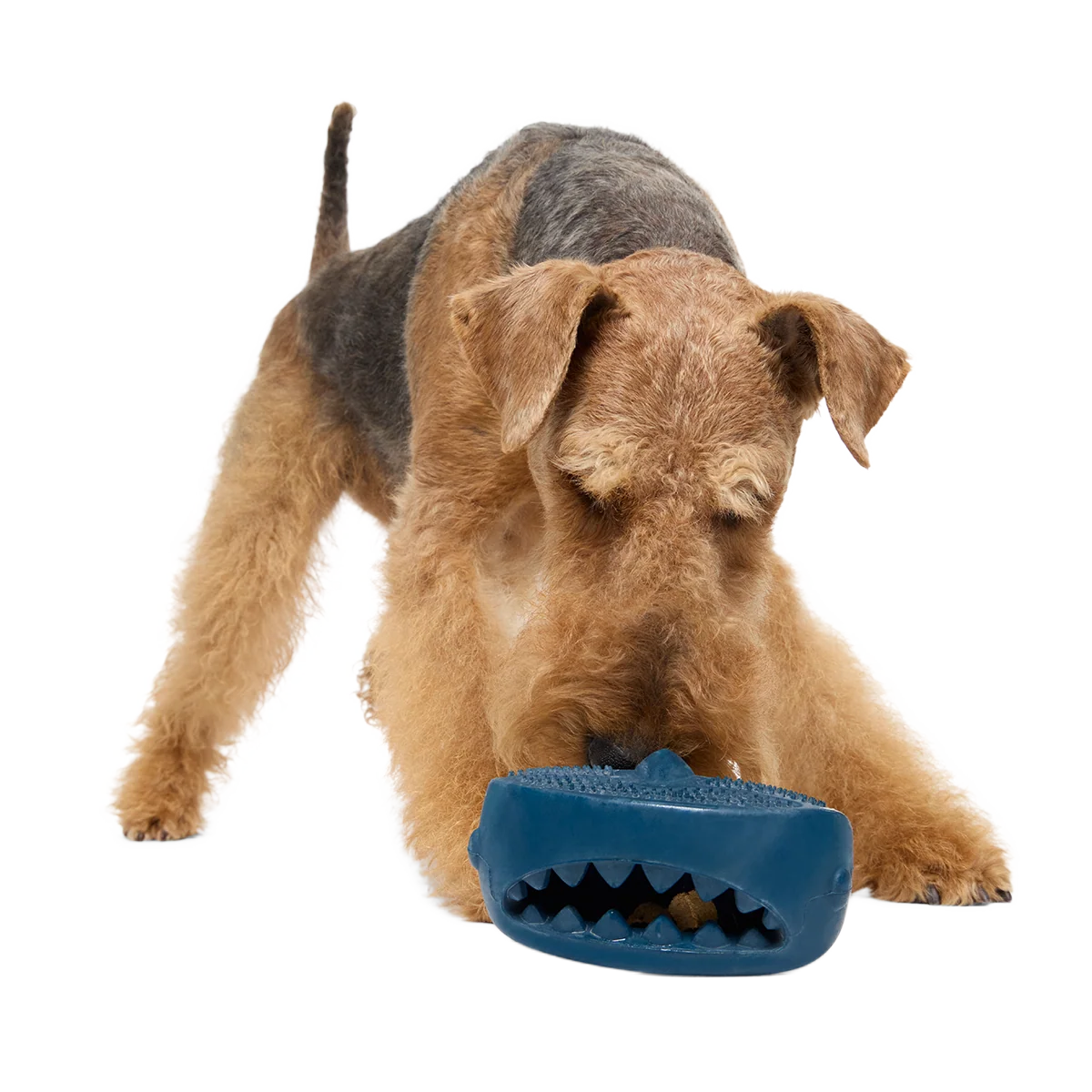 Hammer Fed Shark Super Chewer Durable Enrichment Dog Toy - Image 3