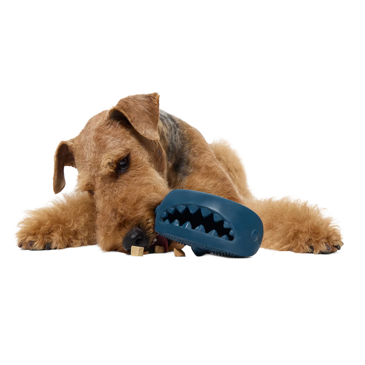 Hammer Fed Shark Super Chewer Durable Enrichment Dog Toy - Image 4