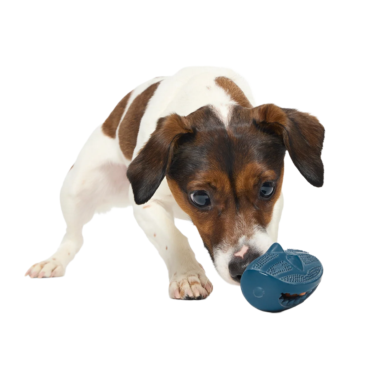 Hammer Fed Shark Super Chewer Durable Enrichment Dog Toy - Image 6