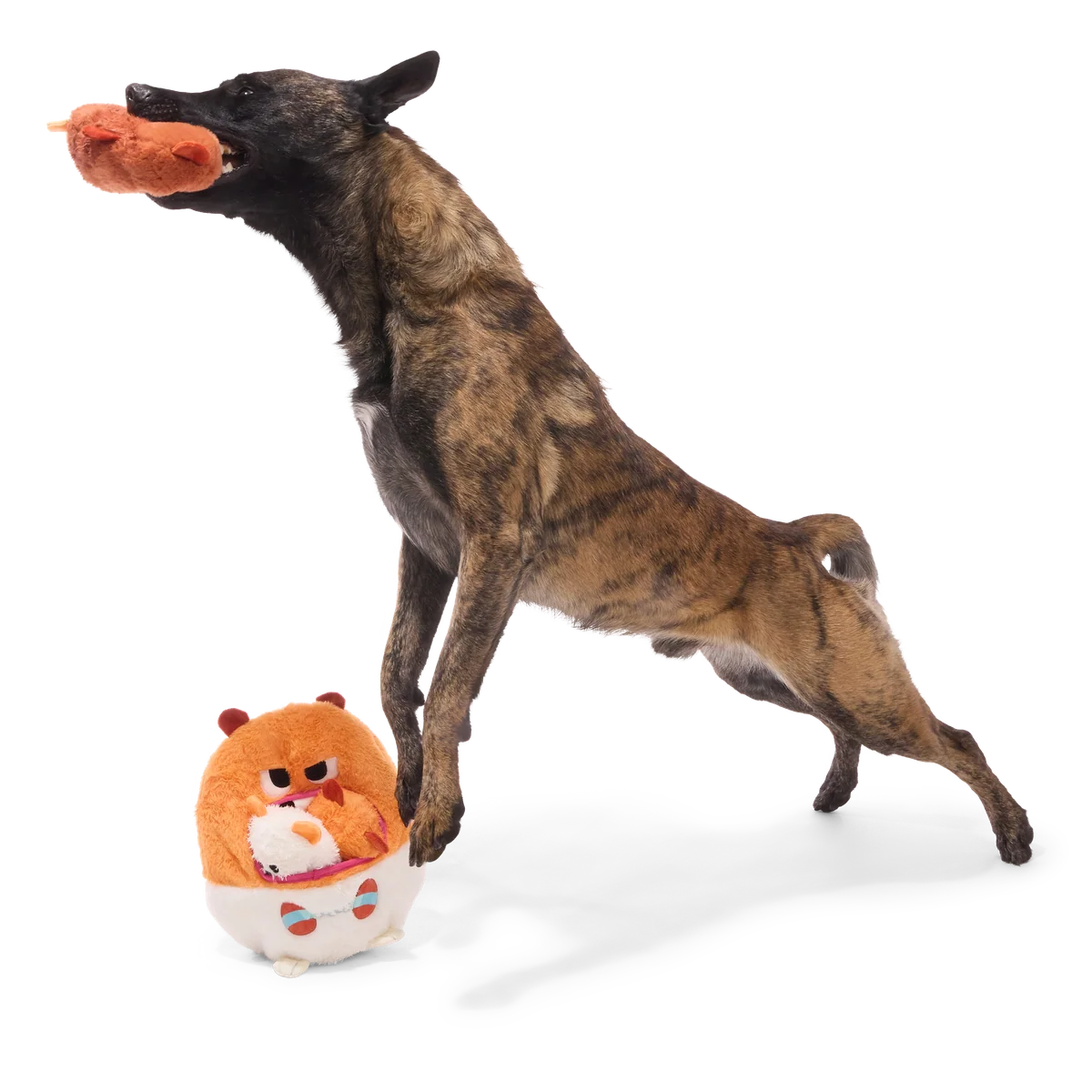 Hannibal Hamster Plush Extra-Large + Multi-Part + Enrichment Dog Toy - Image 5