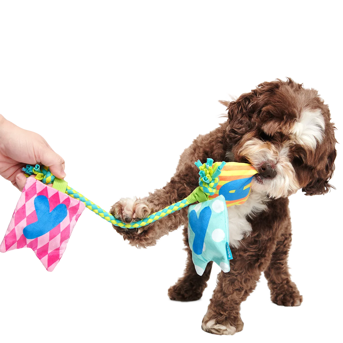 Happy Yay Banner Plush Tug Dog Toy - Image 3