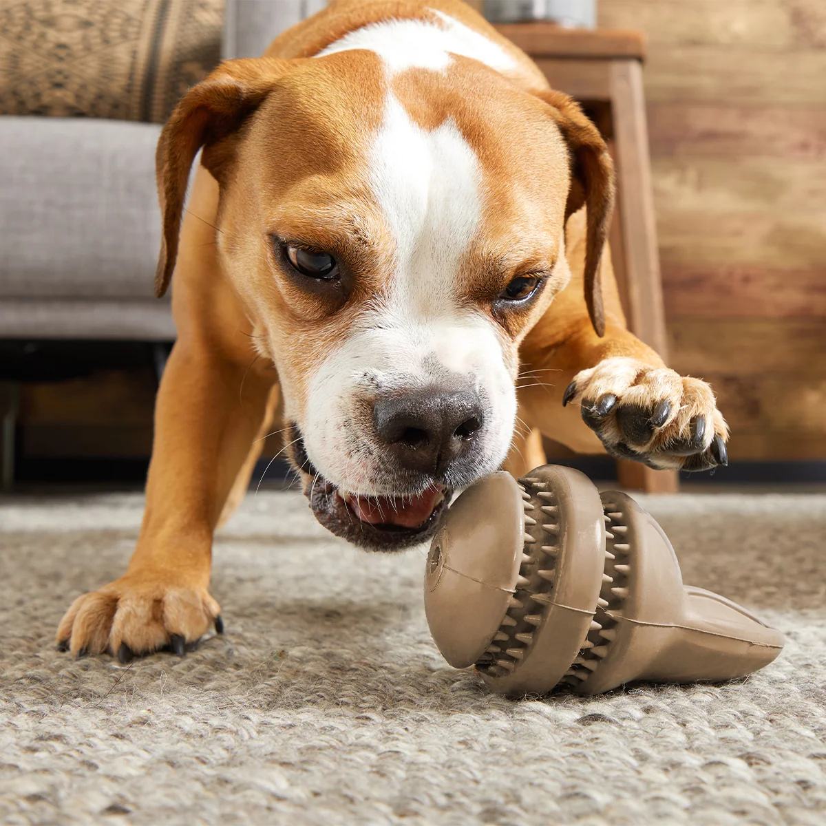 Hare Raiser Super Chewer Durable 2-in-1 + Enrichment Dog Toy - Image 2